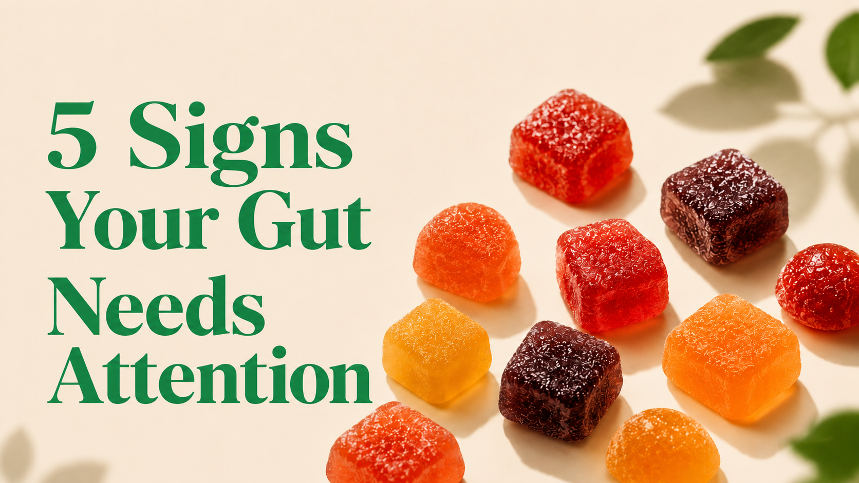 5 Signs Your Gut Needs Attention